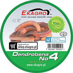 Live Bait - Worms No4 Dendrobena  15pcs 1.5g/pcs EKAGRO