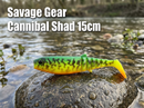 savage gear cannibal shad soft lure VIVADO
