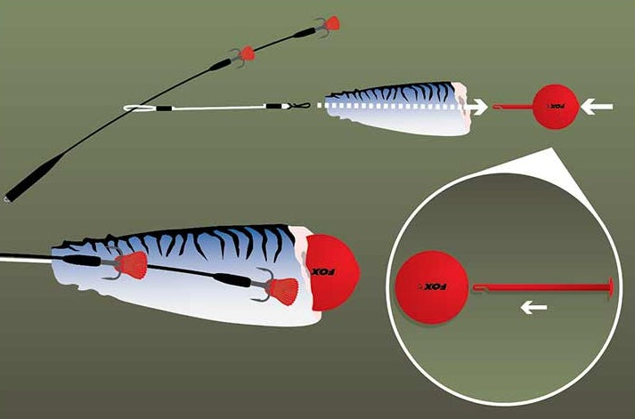 Fox Rgae Predator Bait Poppers Red FOX
