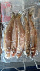 Standard Smelt 5 pcs/pack LUCEBAITS