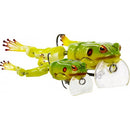 Westin Freddy the Frog Wakebait 18.5cm 46g – Topwater pike fishing lure for Ireland