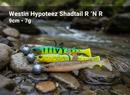 Westin Hypoteez Shadtail R N R Lures – 9cm / 7g VIVAADO