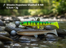 Westin Hypoteez Shadtail R ‘N’ R Lures – 6.5cm VIVADO
