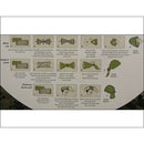 Multi-Function Buff (Woodland) - VIVADO