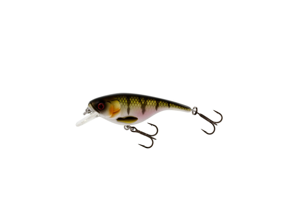 Westin Fishing Kunstköder, BabyBite DR 6,5cm Float.Bling Perch Wobbler Tieflaeufer S0m3t0bm Westin Fishing Kunstköder, BabyBite DR 6,5cm Float.Bling Perch Wobbler Tieflaeufer S0m3t0bm