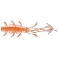 Berkley Sick Bug 7cm 8pcs/pack BERKLEY