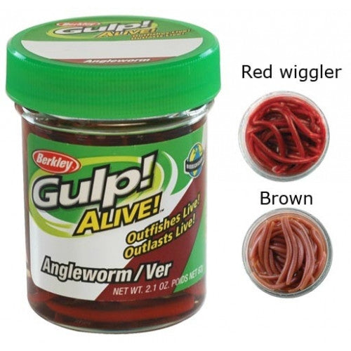 Berkley Gulp! Alive® Angle Worm - VIVADO
