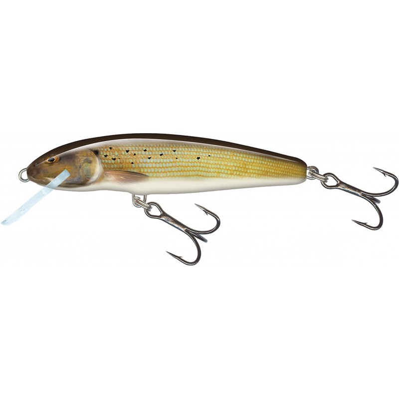 Salmo Minnow 5cm 3g Lure - Floating SALMO