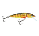 Salmo Minnow 5cm 3g Lure - Floating SALMO
