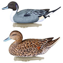 Flambeau 6 Pintail Duck Decoys FLAMBEAU